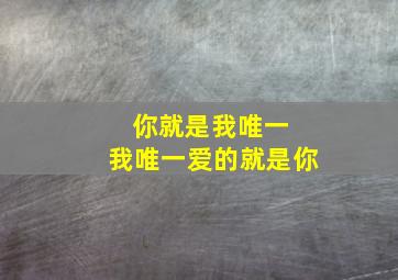 你就是我唯一 我唯一爱的就是你